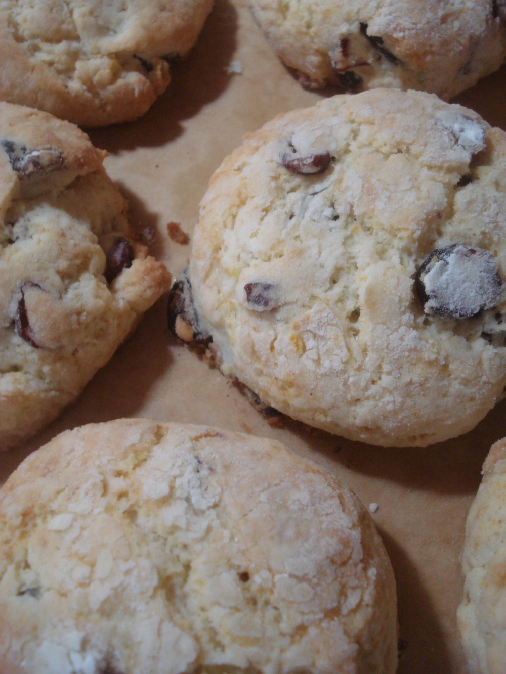 meyer lemon cranberry scones baked