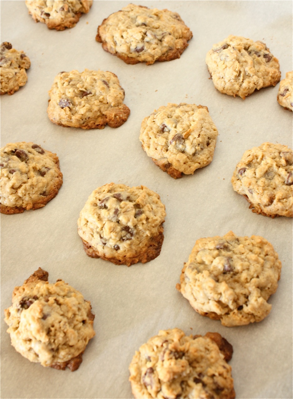 Gluten-Free Oatmeal Chocolate Chip Cookies