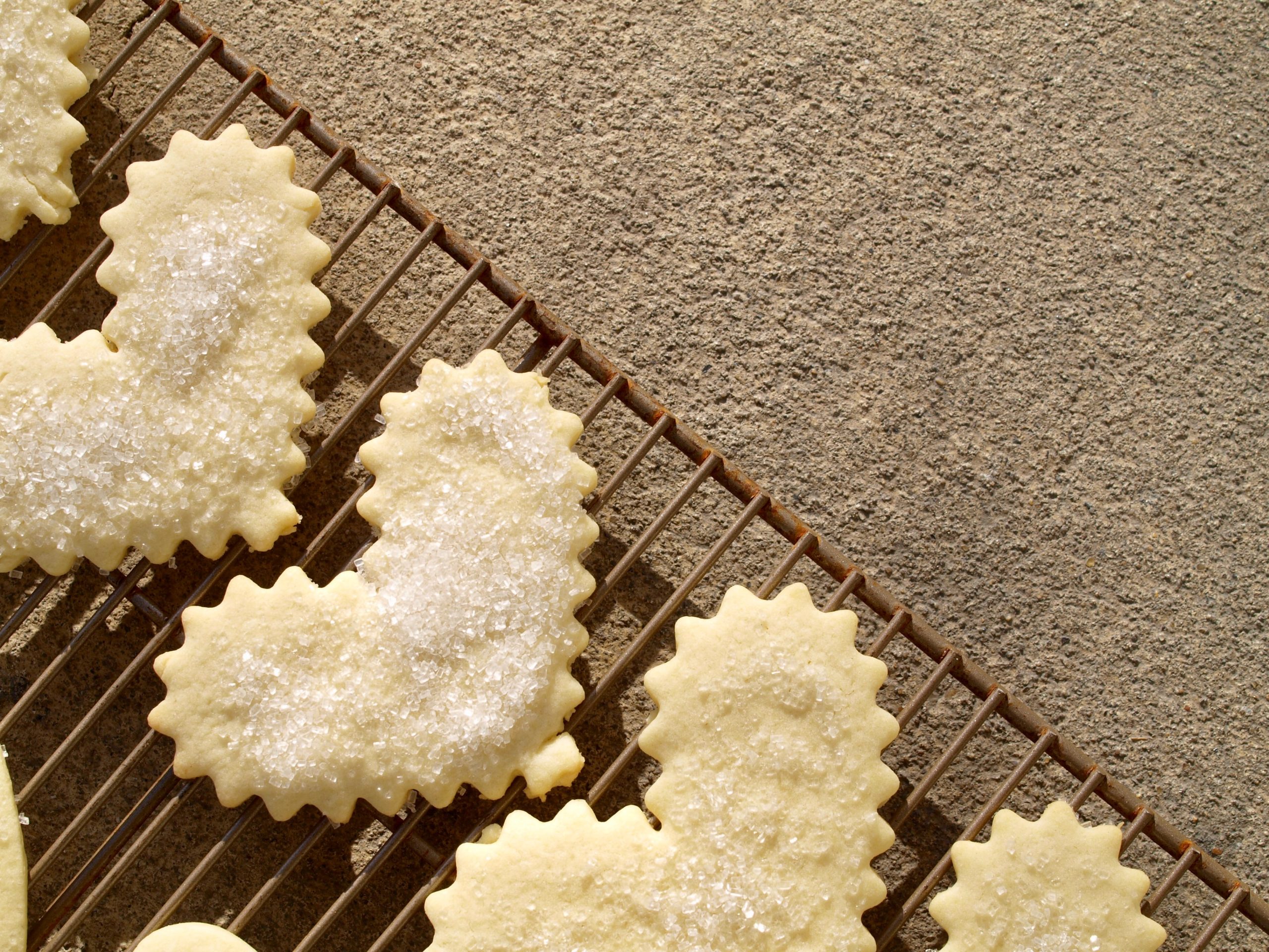 Best Sugar Cookies - A Big Mouthful