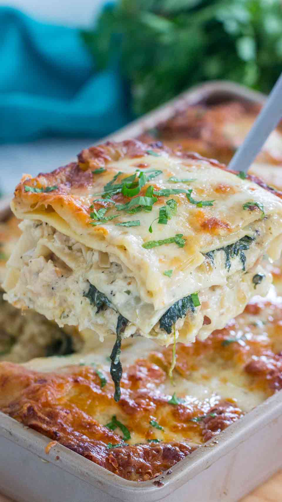 Chicken Alfredo Lasagna - A Big Mouthful